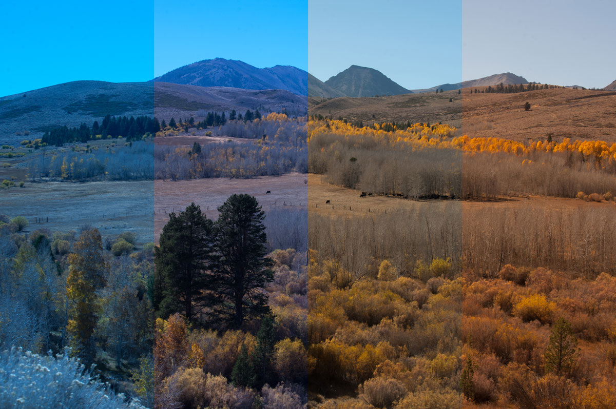 color balance in photography